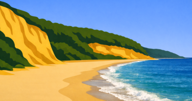 Pasha-dere-beach