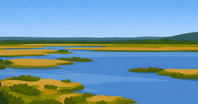 Srebarna-lake bg