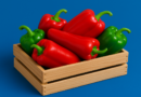 Bulgarian-peppers