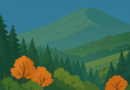 You are beautiful my forest