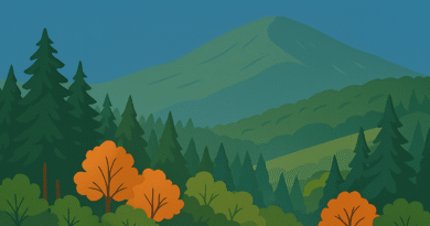 You are beautiful my forest