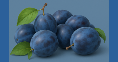 bg-plum