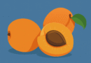 bulgarian apricot