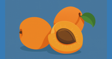 bulgarian apricot