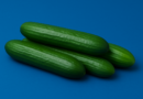 bulgarian-cucumber