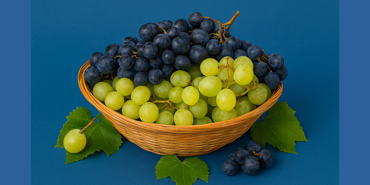 bulgarian-grapes bg