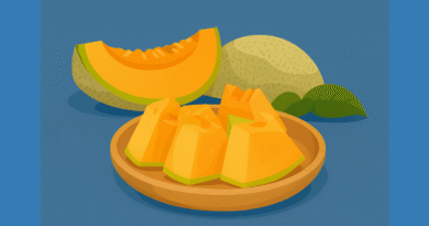 bulgarian melon