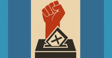 opposition and the elections for the VII Great National Assembly in 1946