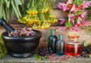 Bulgarian folk medicine