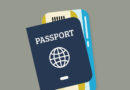 british passport application