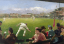 game of cricket