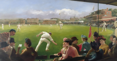 game of cricket