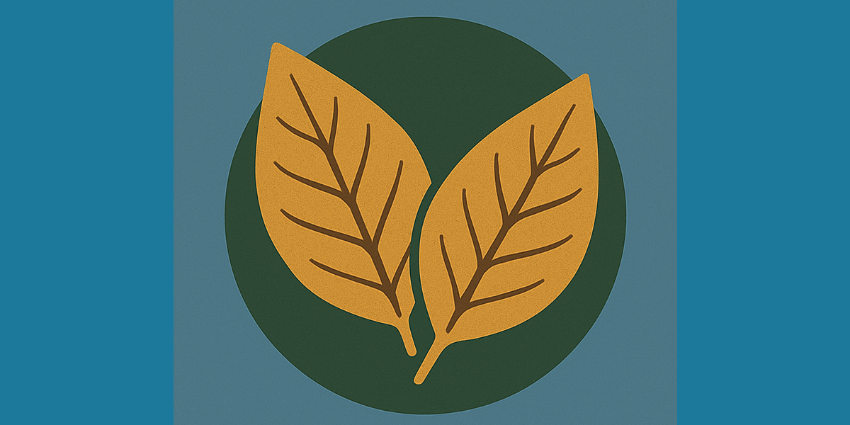 novel Tobacco by D. Dimov