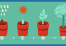 Small business ideas in the UK