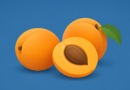 still life with apricots on blue